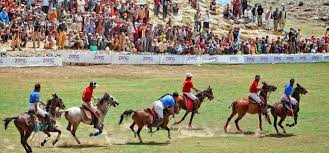 Base camp at Deosei Plateau Tour
